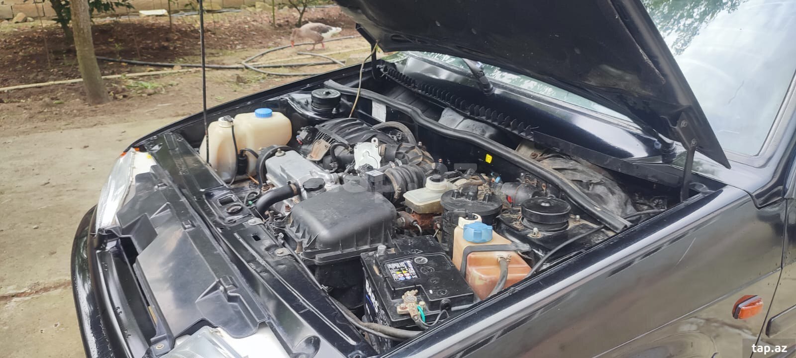 LADA (VAZ) 2115, 2012 il (3)