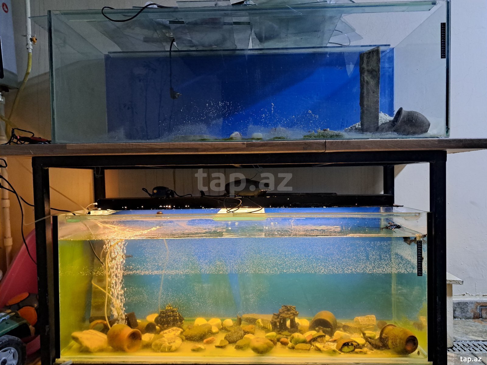 Akvarium
