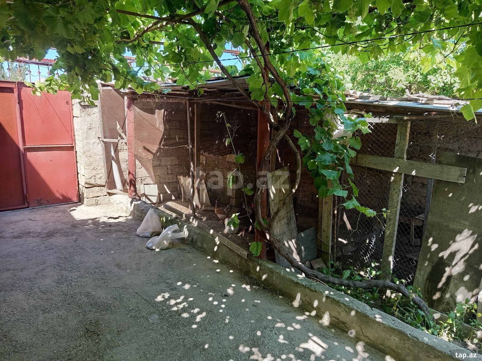 Həyət evi kirayə verilir, Qaraçuxur qəs. (3)