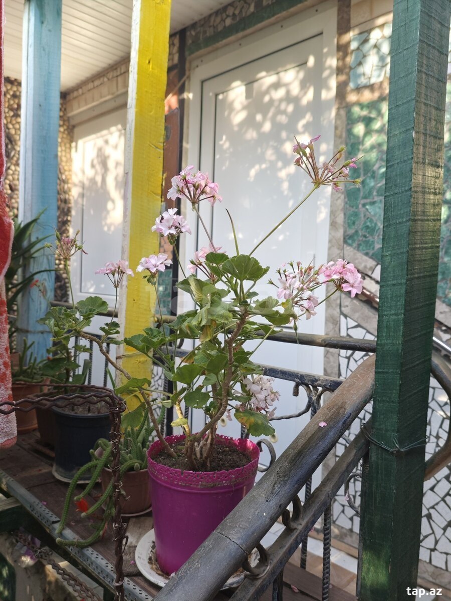 3 otaqlı həyət evi satılır, Xətai, Bakı