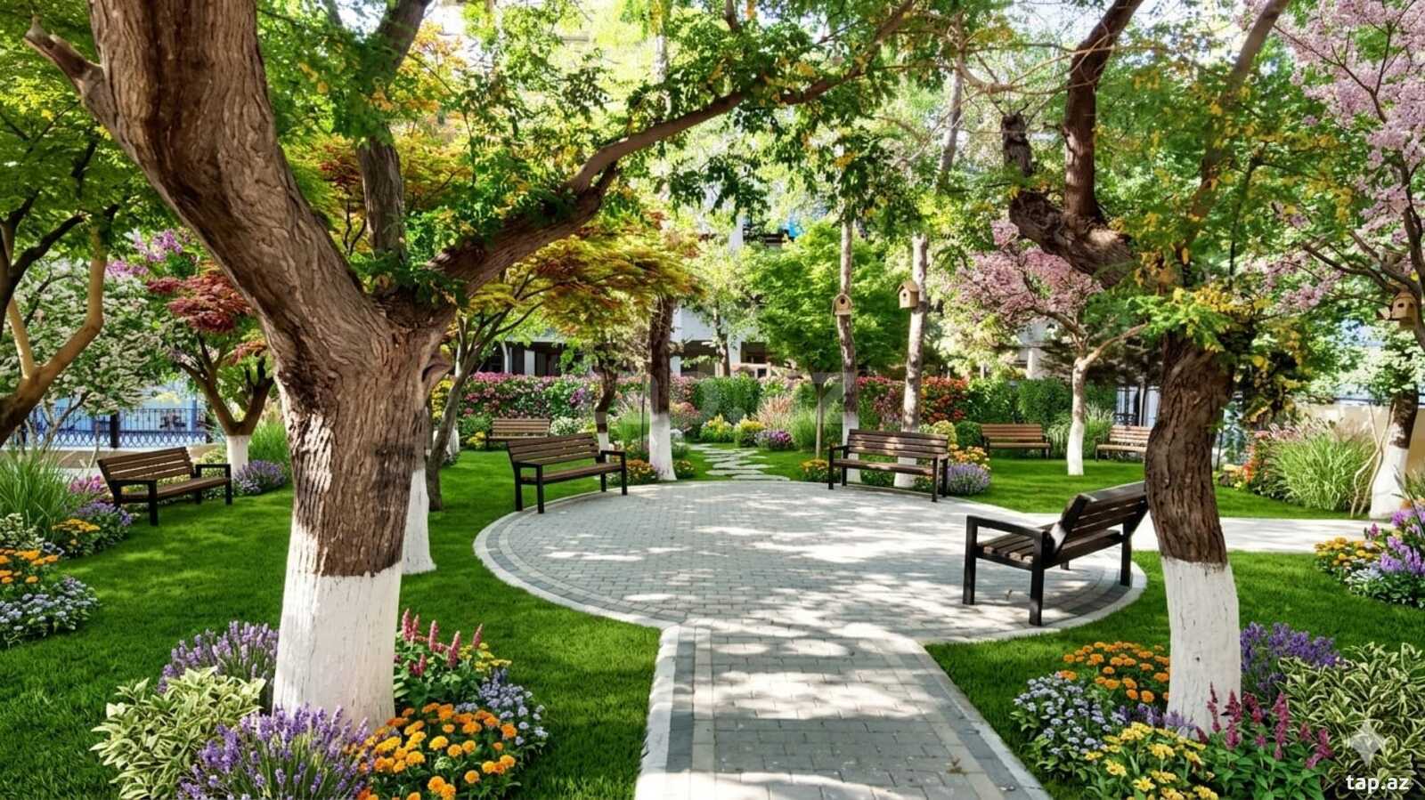 2-otaqlı mənzil kirayə verilir, Nəsimi r., 85 m² (22)