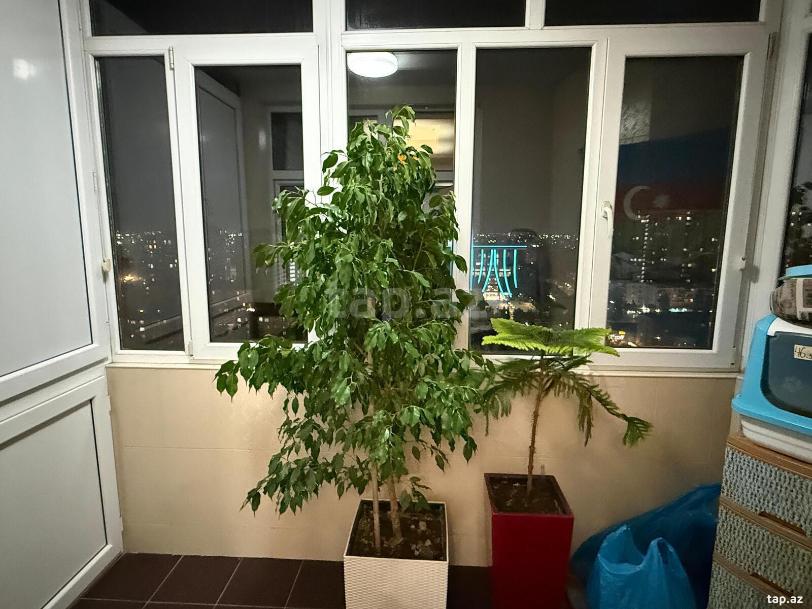 4-otaqlı mənzil, Qara Qarayev m., 154 m² (9)