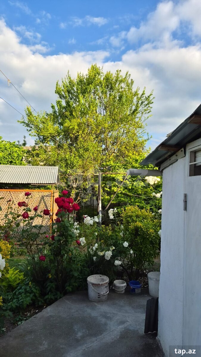 Həyət evi, Qusar ş. (5)
