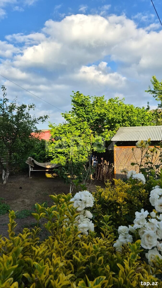 Həyət evi, Qusar ş. (4)