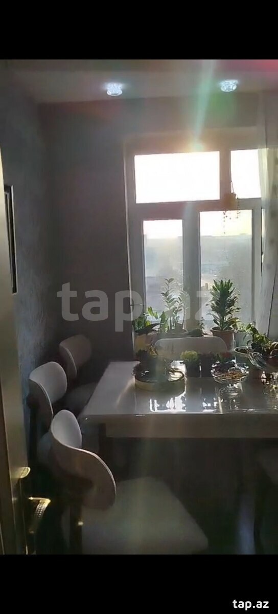 2-otaqlı mənzil kirayə verilir, Binə qəs., 50 m² (5)