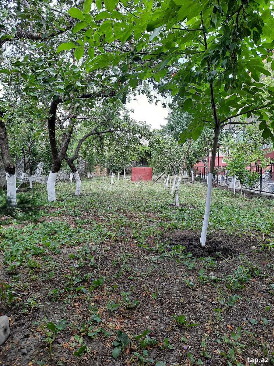 Həyət evi kirayə verilir, Şəki r. (8)