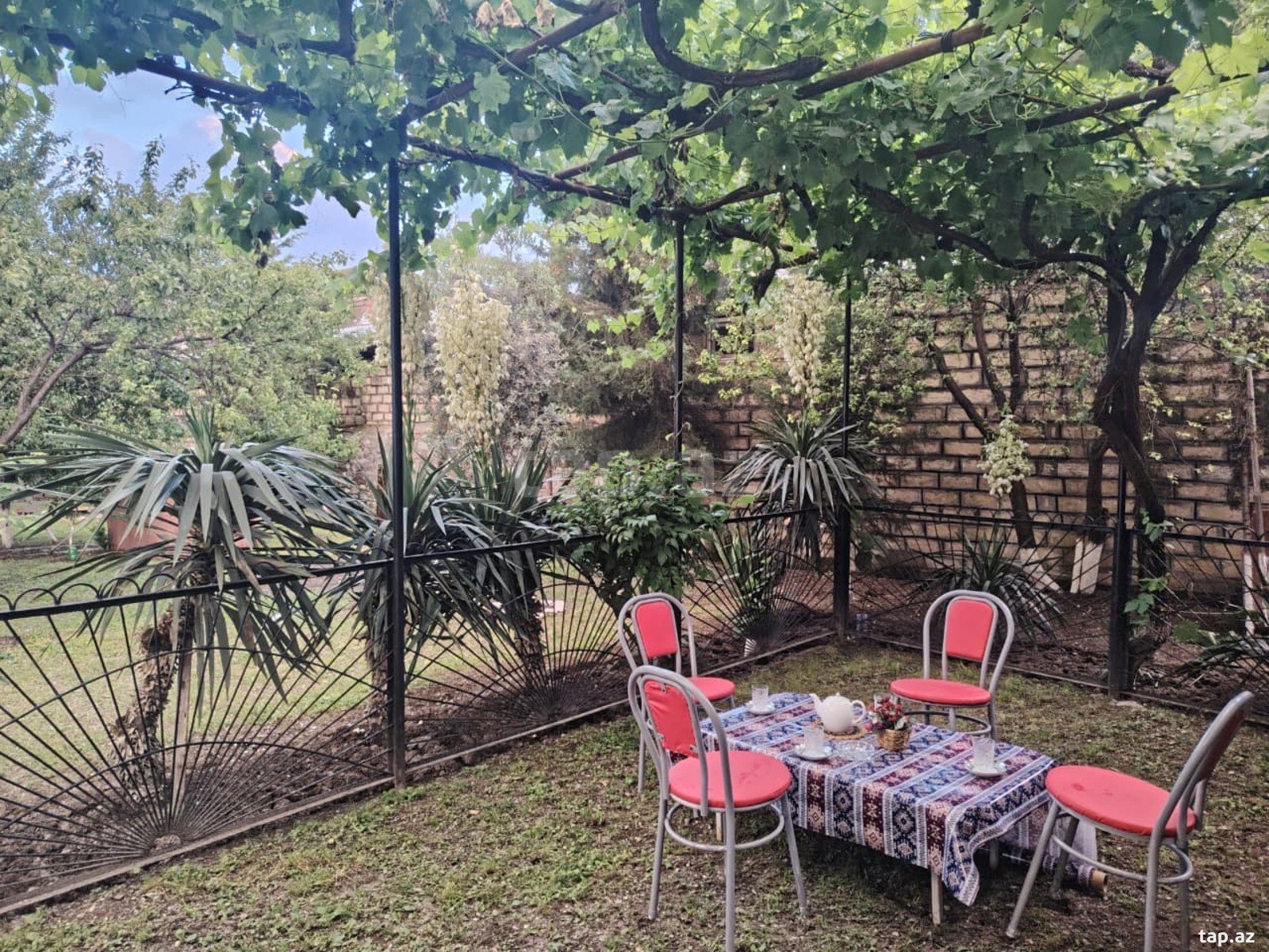 Həyət evi kirayə verilir, Şəki r. (9)
