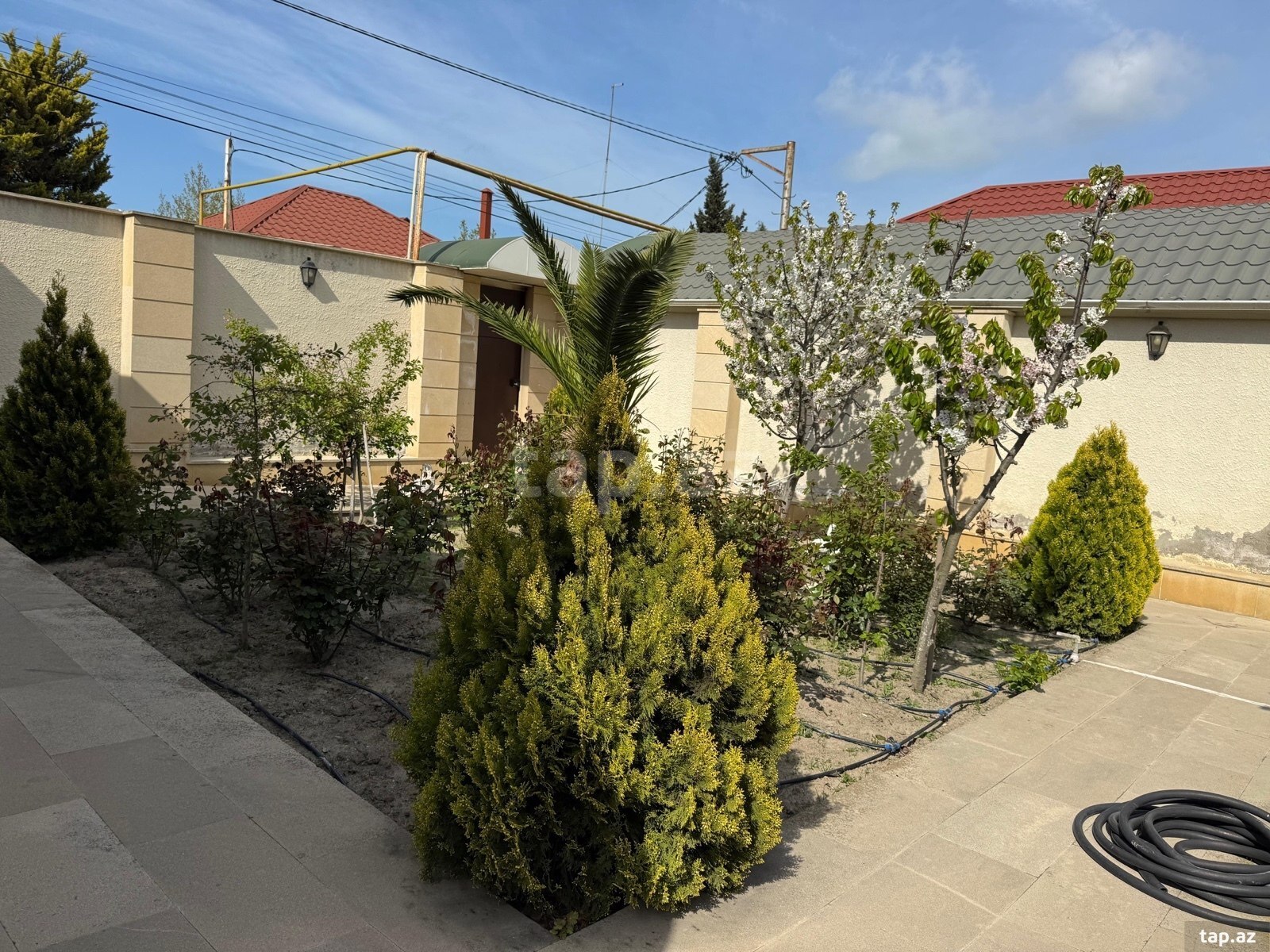 Bağ evi, Novxanı qəs.
