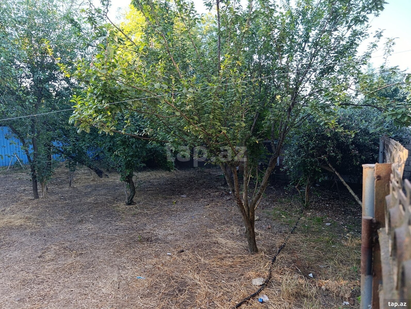 Həyət evi, Lənkəran ş. (8)