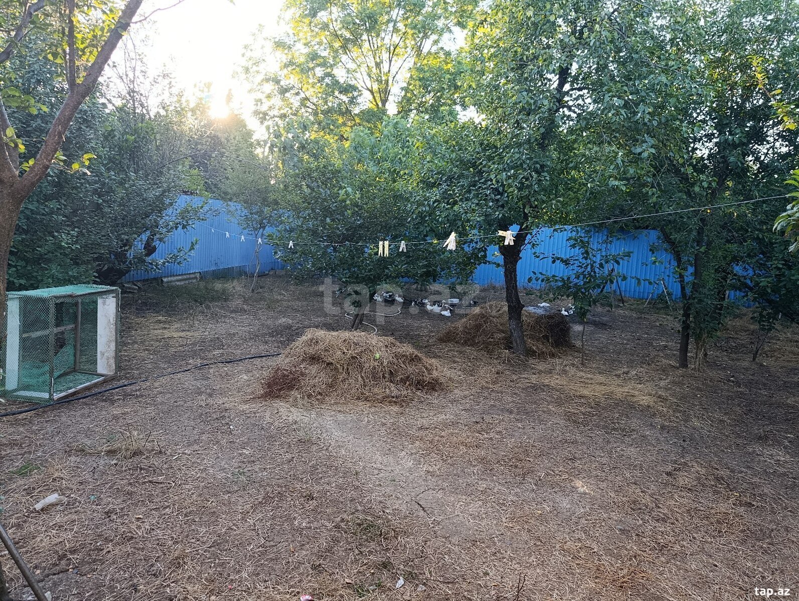 Həyət evi, Lənkəran ş. (9)