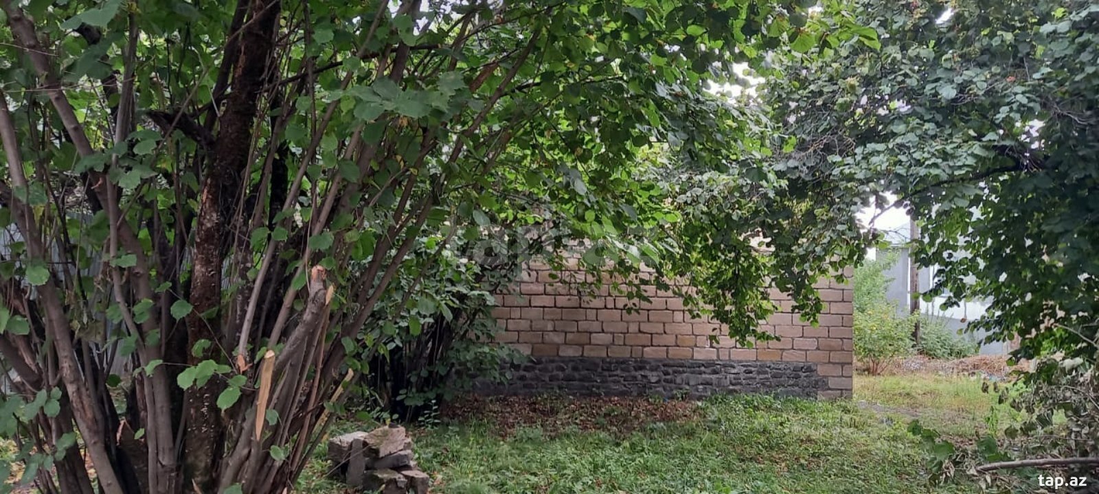 Torpaq satılır, Qəbələ, Qəbələ