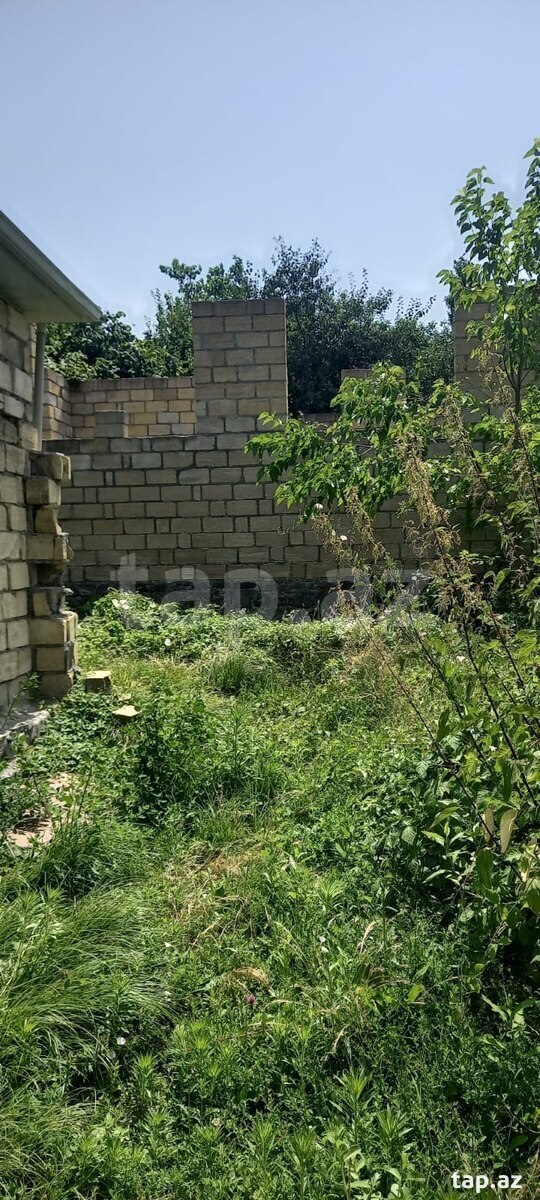 Torpaq satılır, Qəbələ, Qəbələ