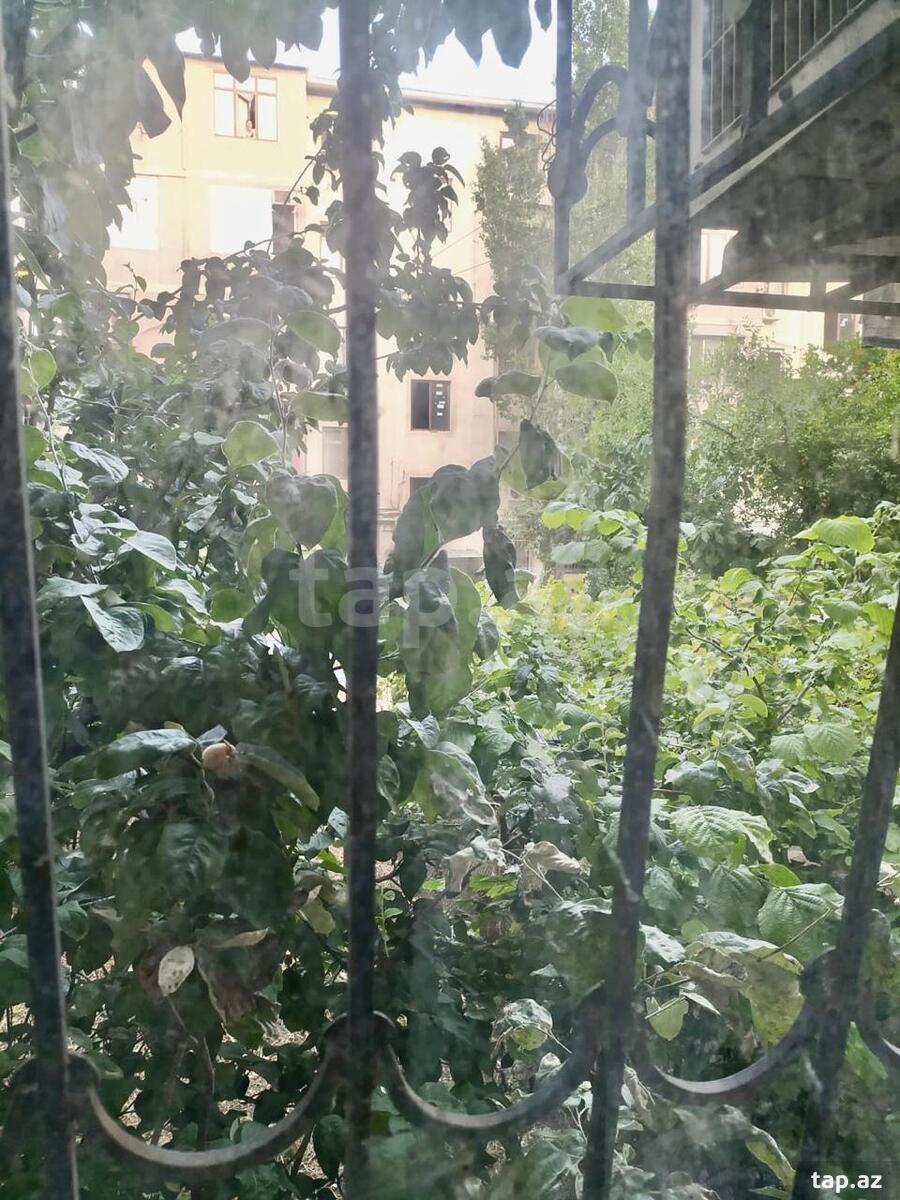 2-otaqlı mənzil, 4-cü mkr., 55 m² (12)