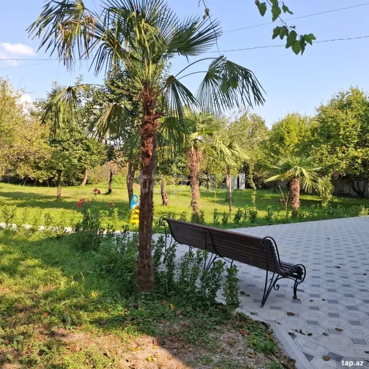 Həyət evi kirayə verilir, İsmayıllı r. (11)
