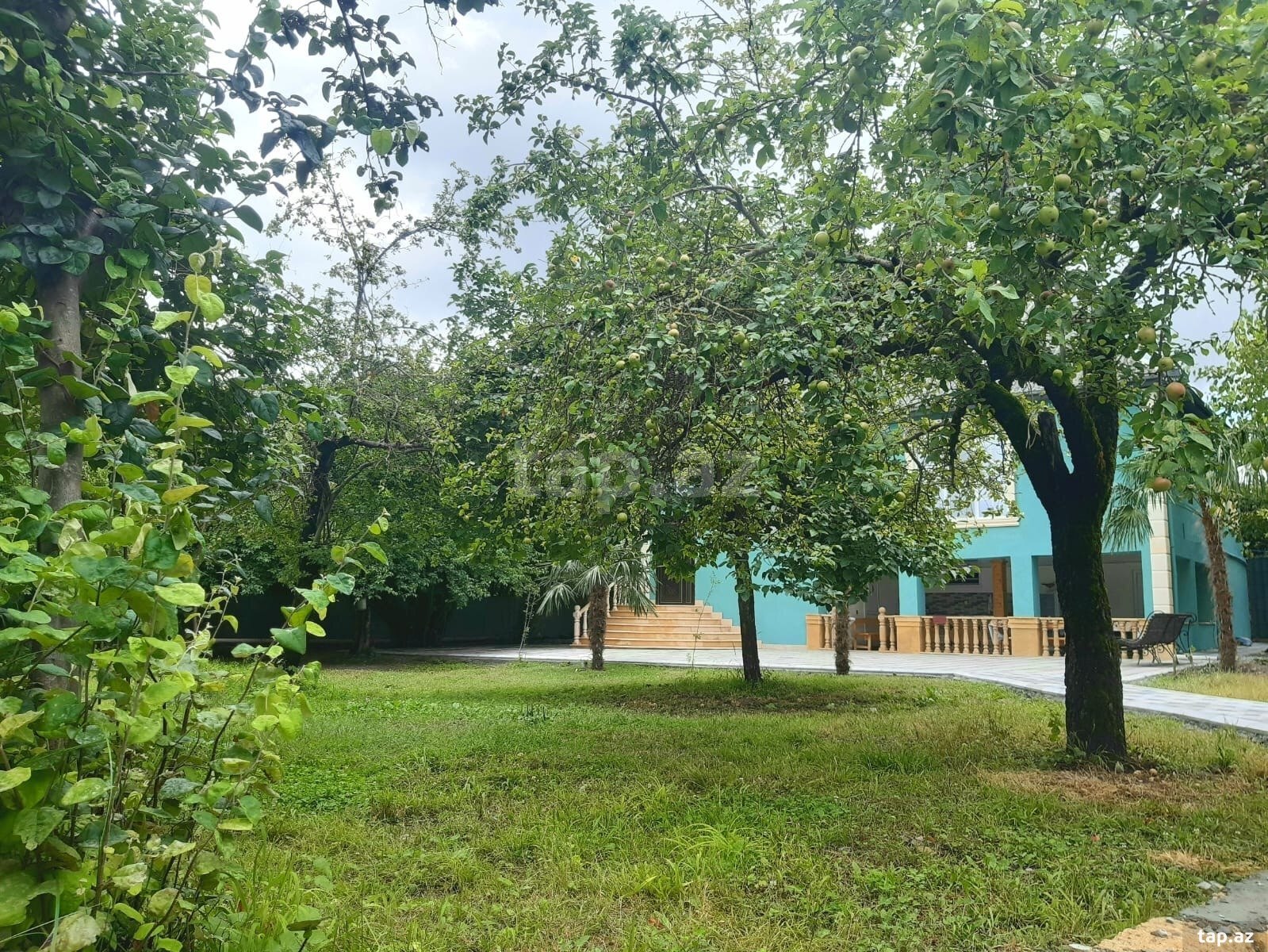 Həyət evi kirayə verilir, İsmayıllı r. (25)