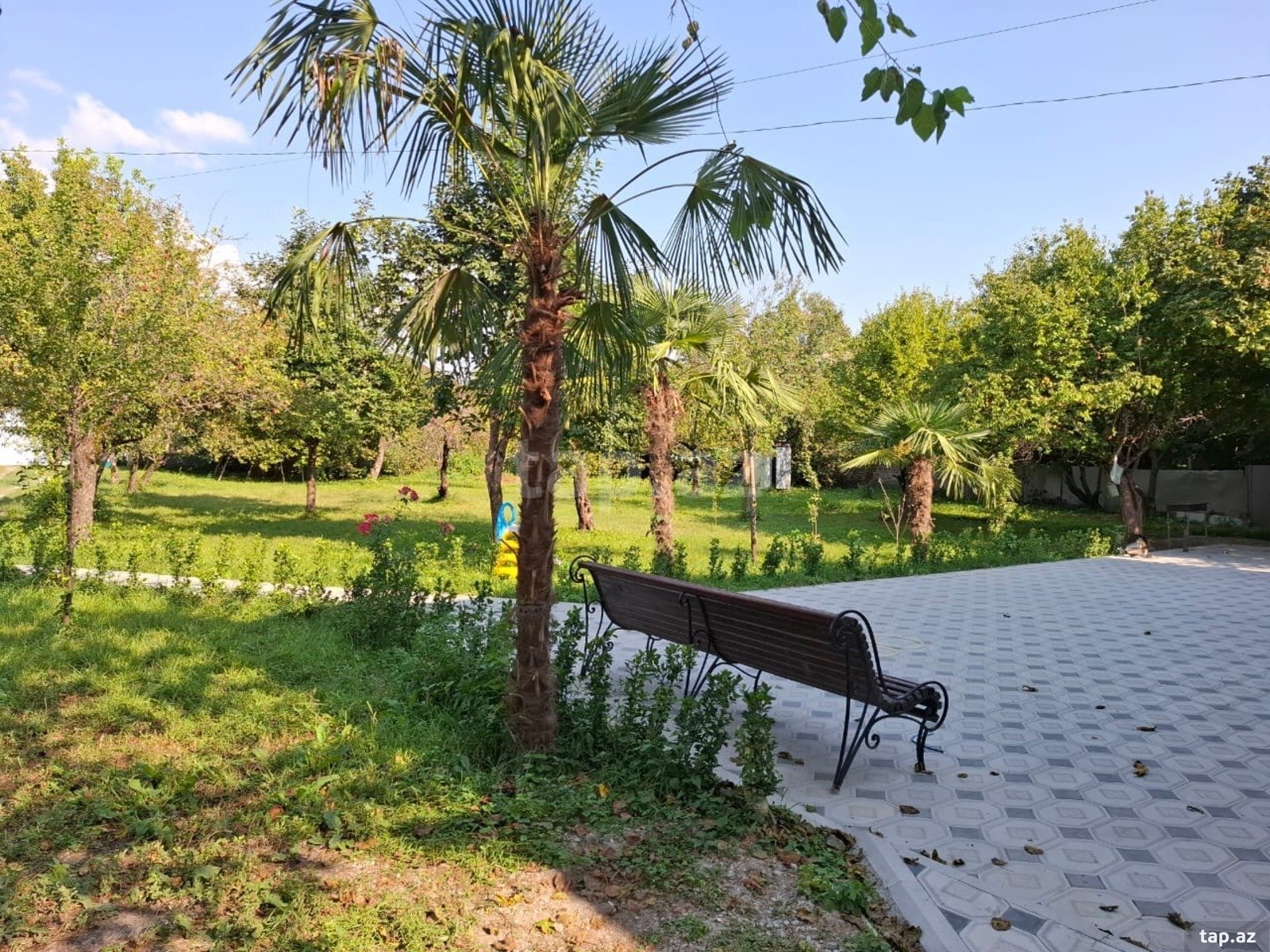 Həyət evi kirayə verilir, İsmayıllı r. (19)
