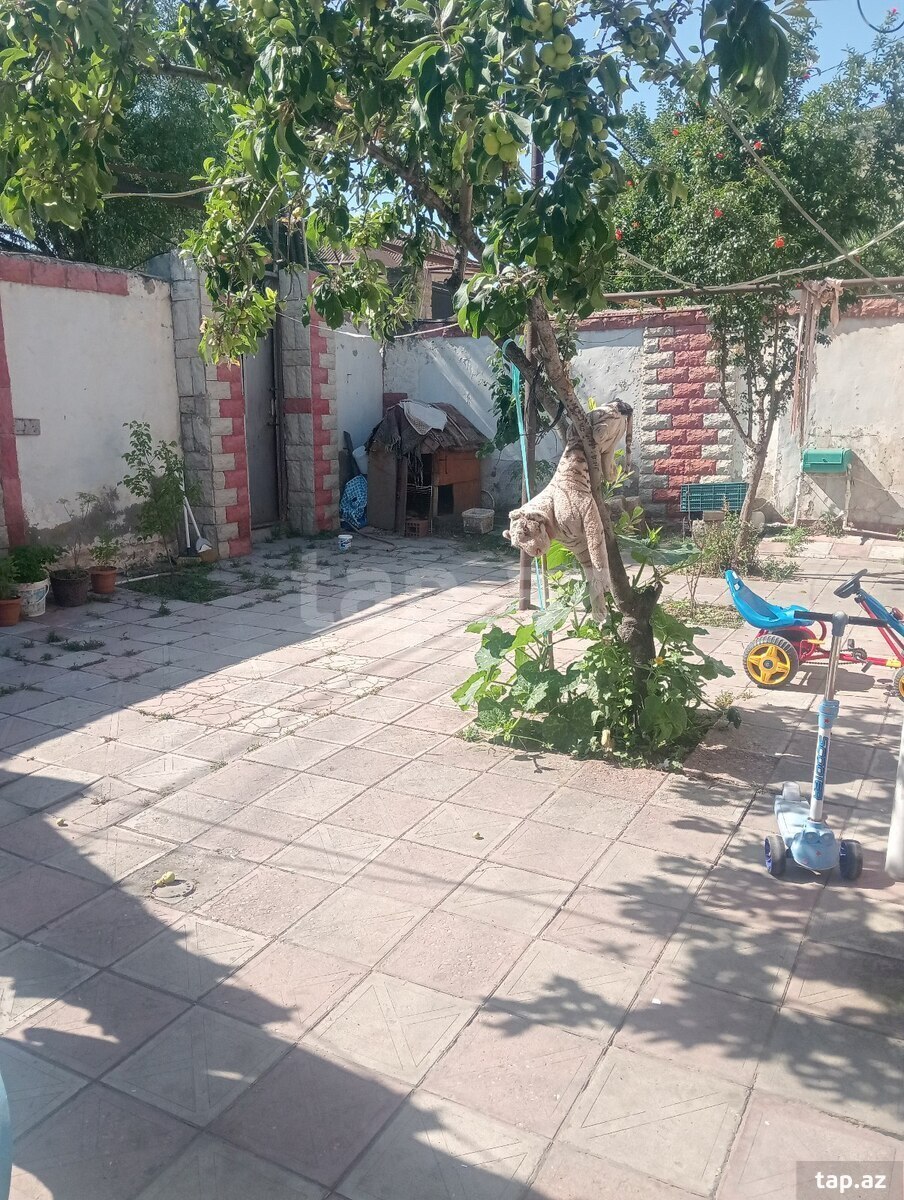 Həyət evi, Sumqayıt ş. (11)