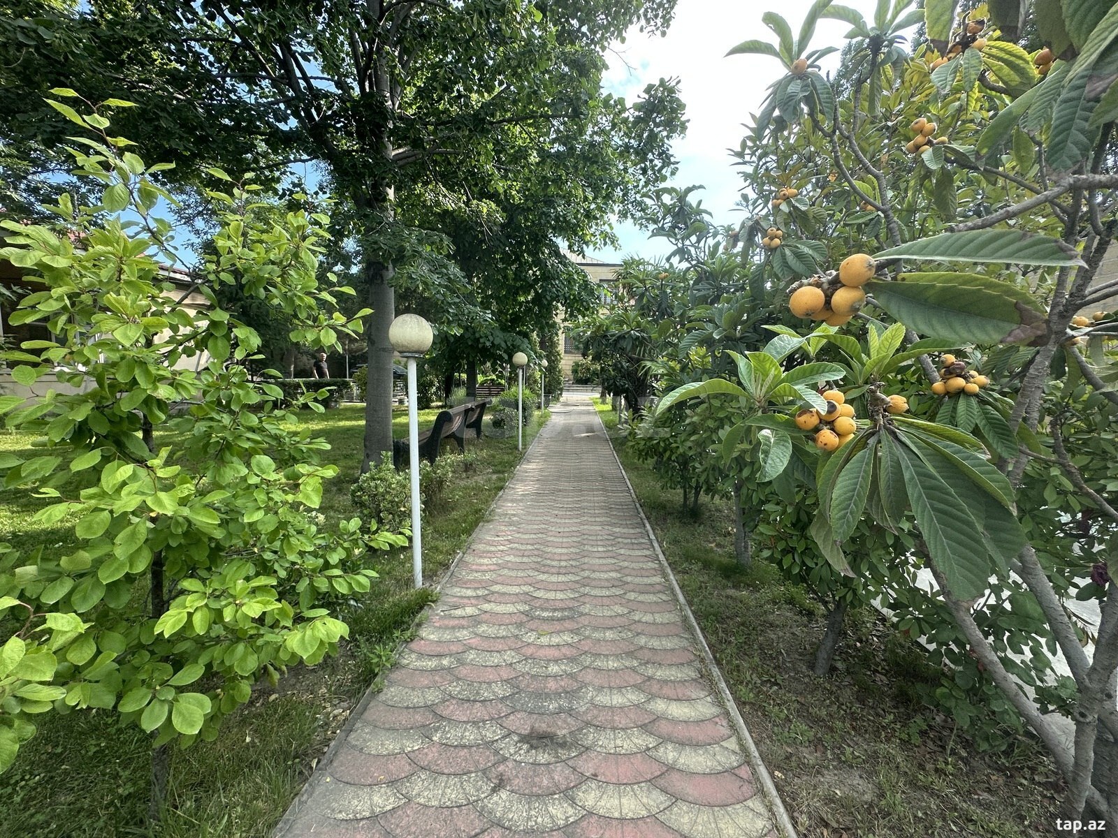 Villa, Binəqədi r.