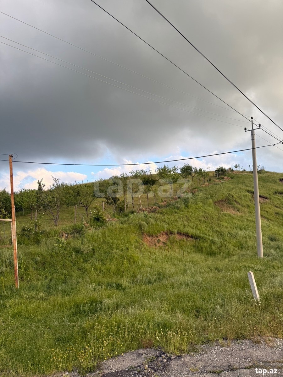12 sot torpaq sahəsi, Şamaxı r. (15)