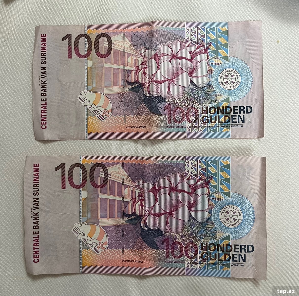 Surinam 100 Qulden (Gulden) 2000-ci il