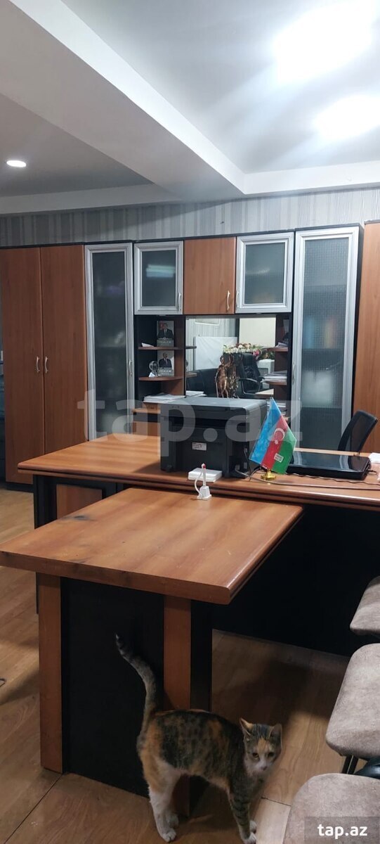 Obyekt icarəyə verilir, Süleyman Rüstəm küç. (2)