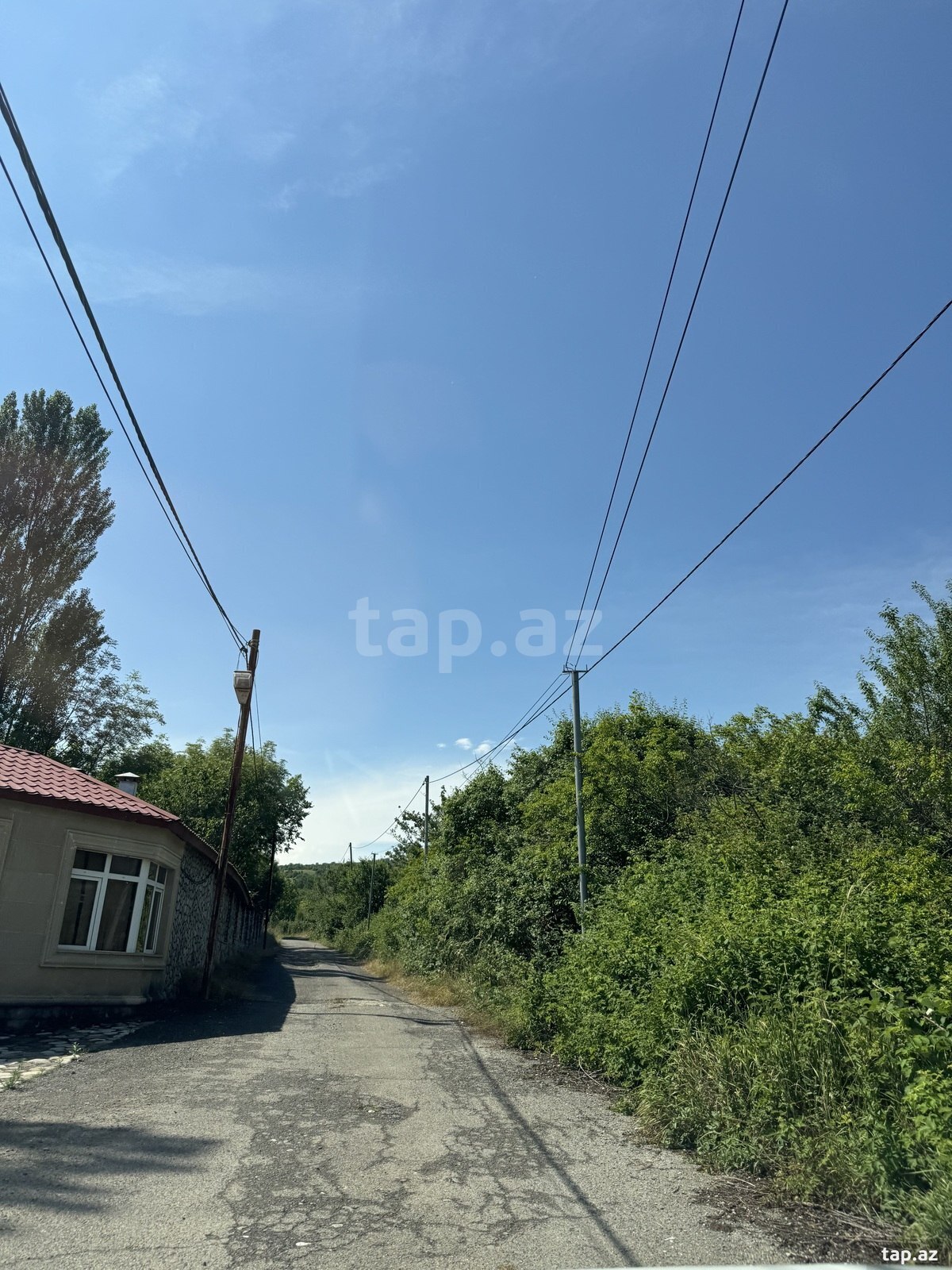 20 sot torpaq sahəsi, İsmayıllı r. (7)