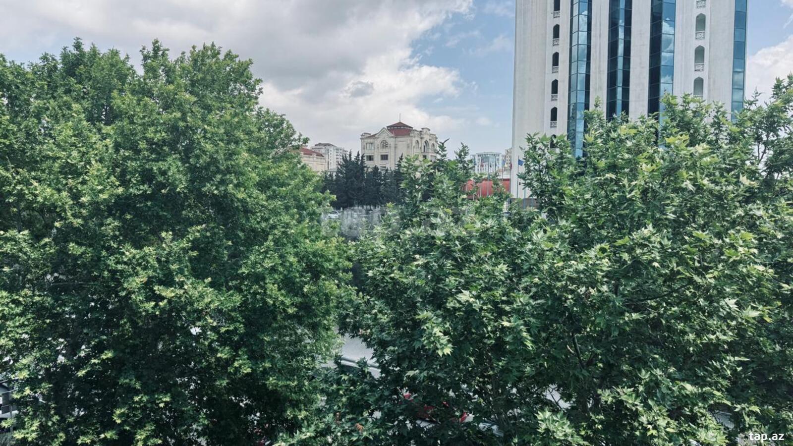 3-otaqlı mənzil, İzmir küç., 75 m² (6)