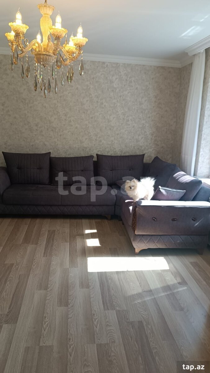 1-otaqlı mənzil kirayə verilir, Sumqayıt ş., 36 m² (8)