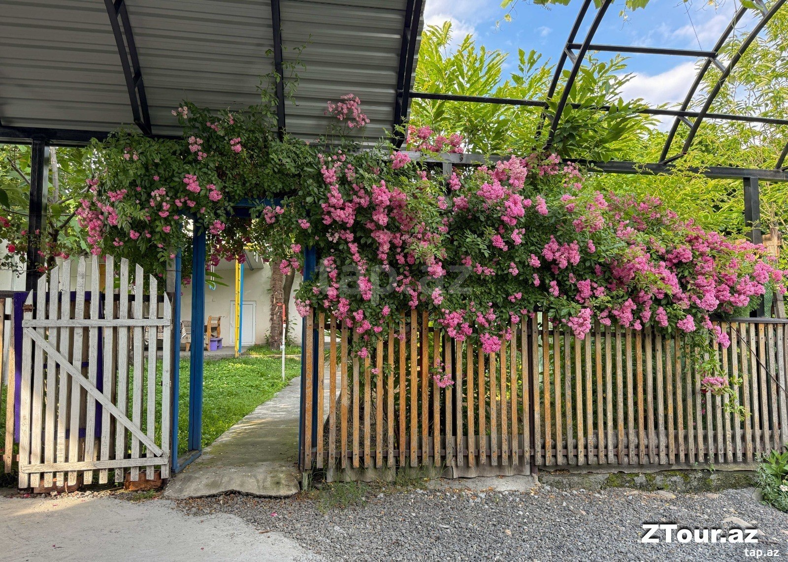 Həyət evi kirayə verilir, Zaqatala ş. (17)