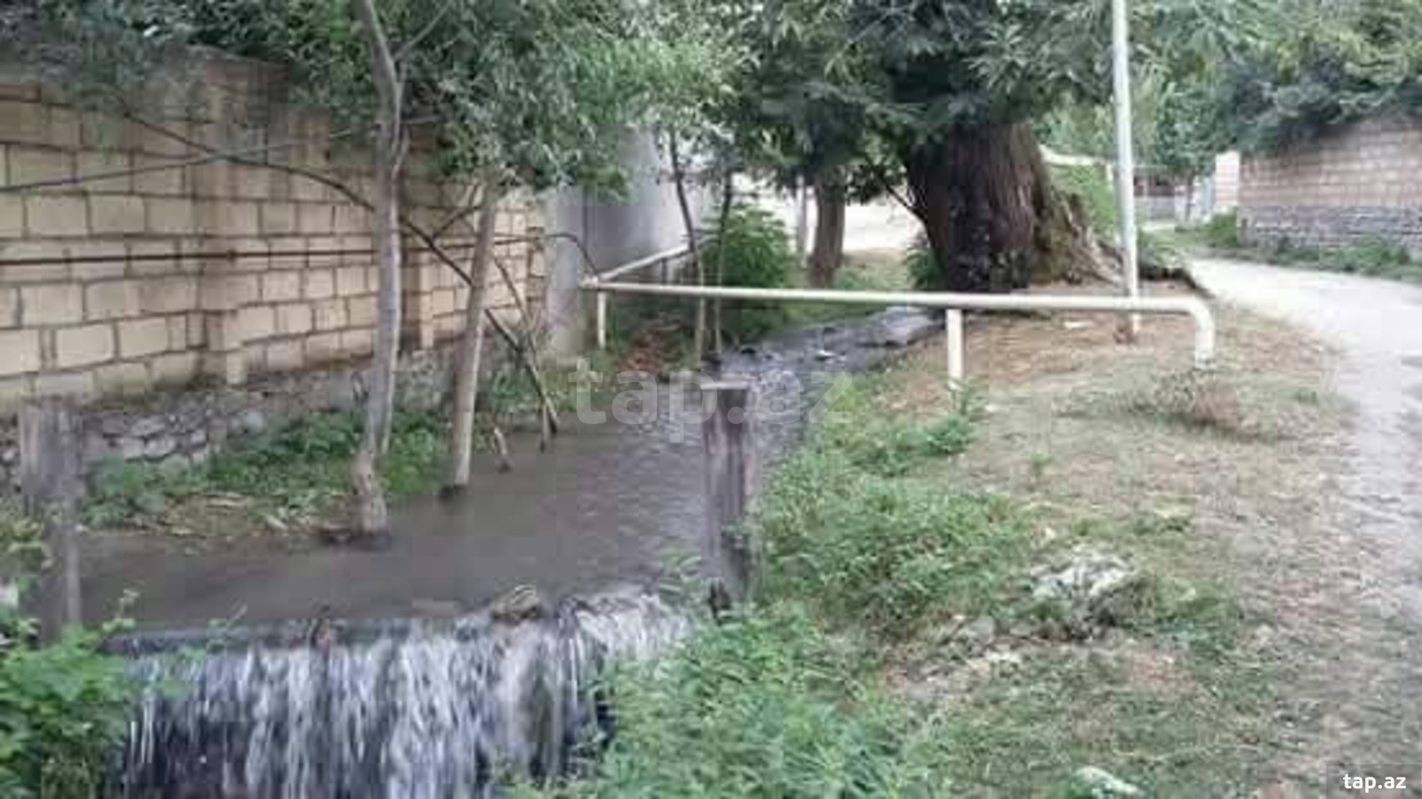 Bağ evi kirayə verilir, Qəbələ ş. (13)