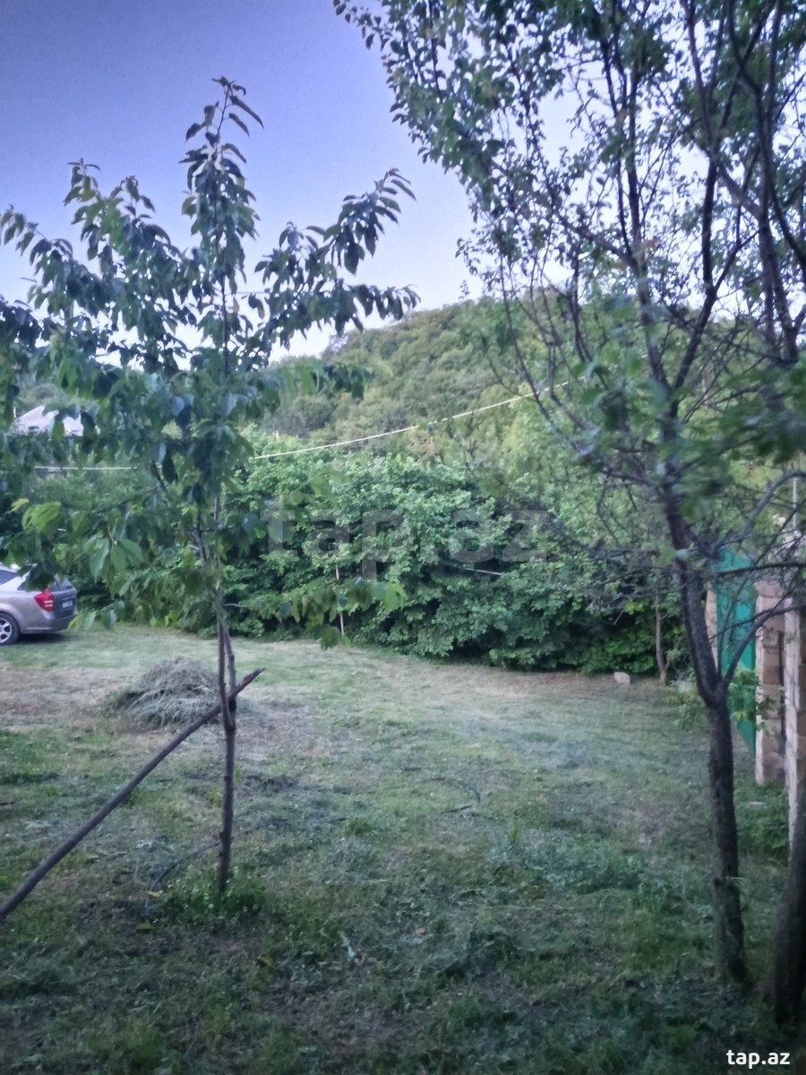 Bağ evi, İsmayıllı r. (30)