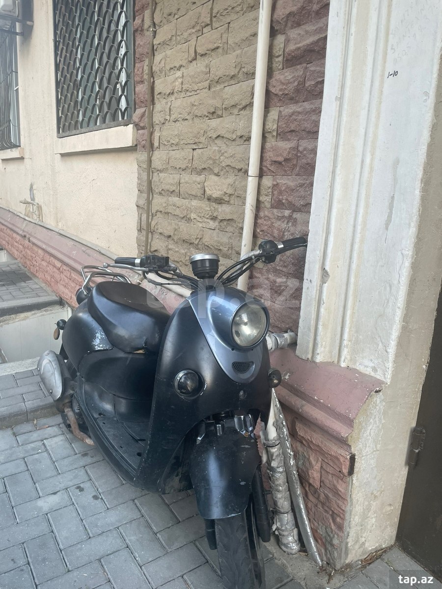 Moped, 2019 il