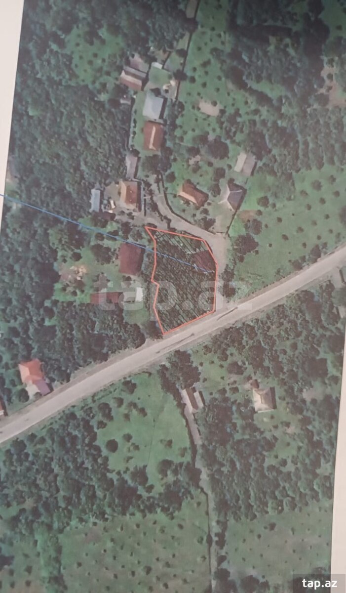 Həyət evi, Oğuz r. (5)