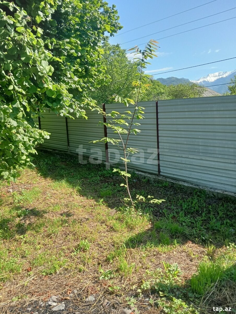 Həyət evi, Oğuz r. (9)