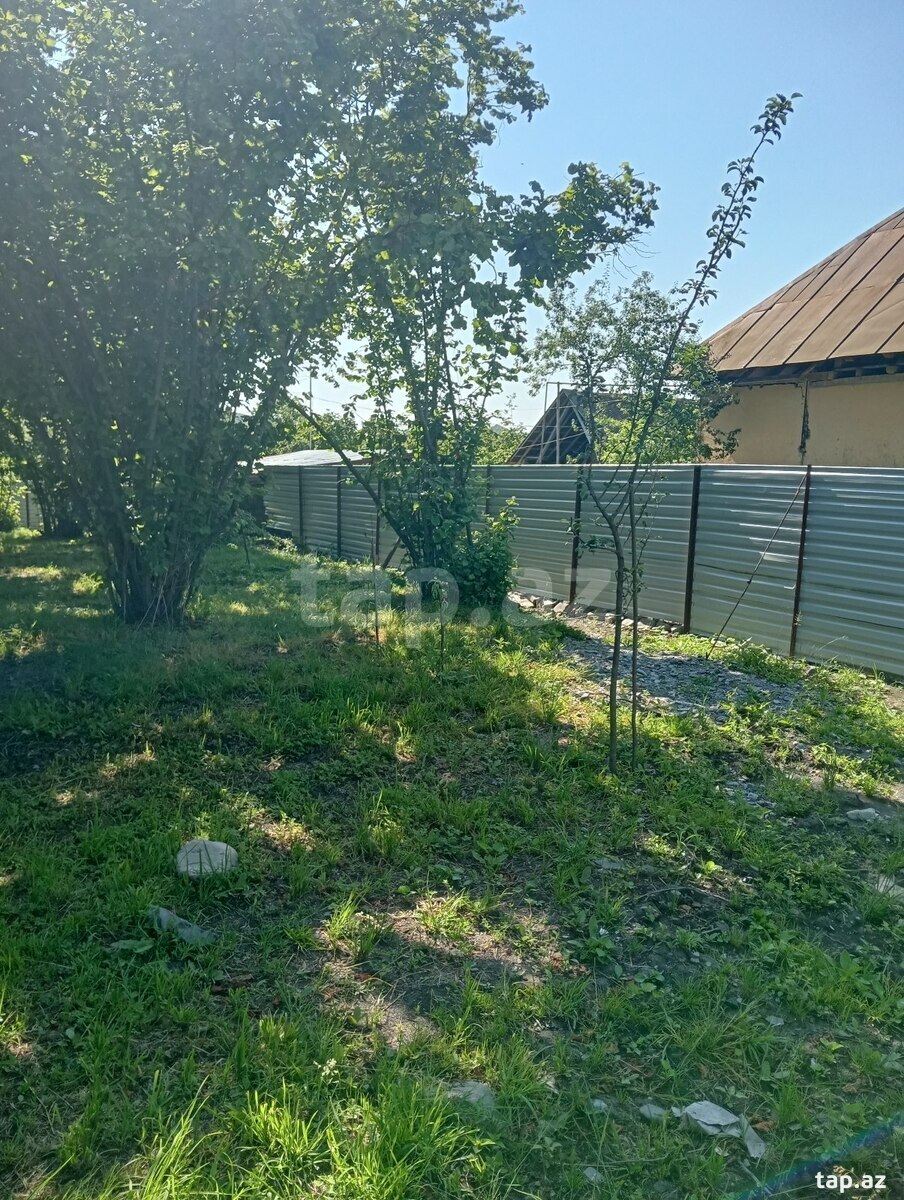 Həyət evi, Oğuz r. (12)