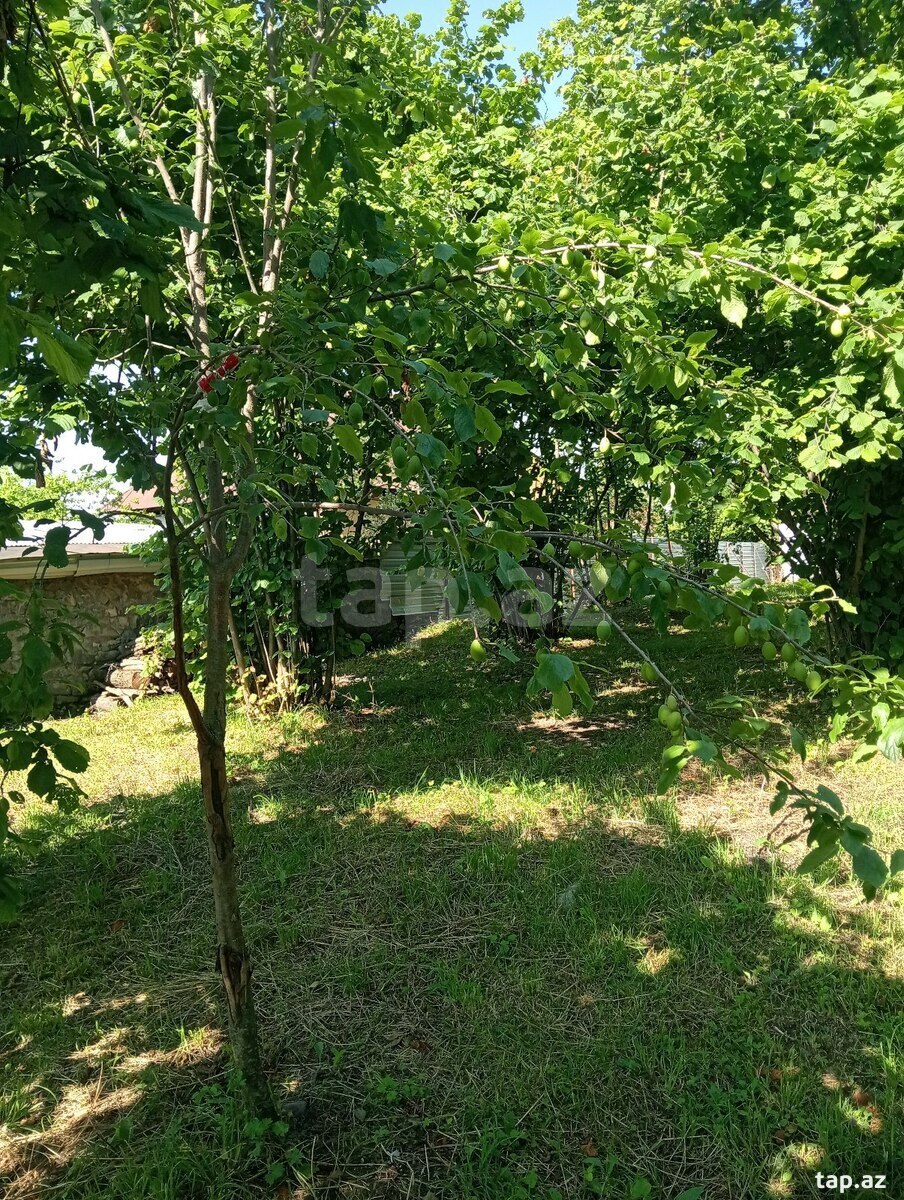 Həyət evi, Oğuz r. (16)