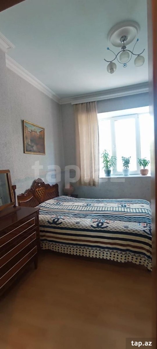 1-otaqlı mənzil kirayə verilir, Elimlər Akademiyası m., 35 m² (2)