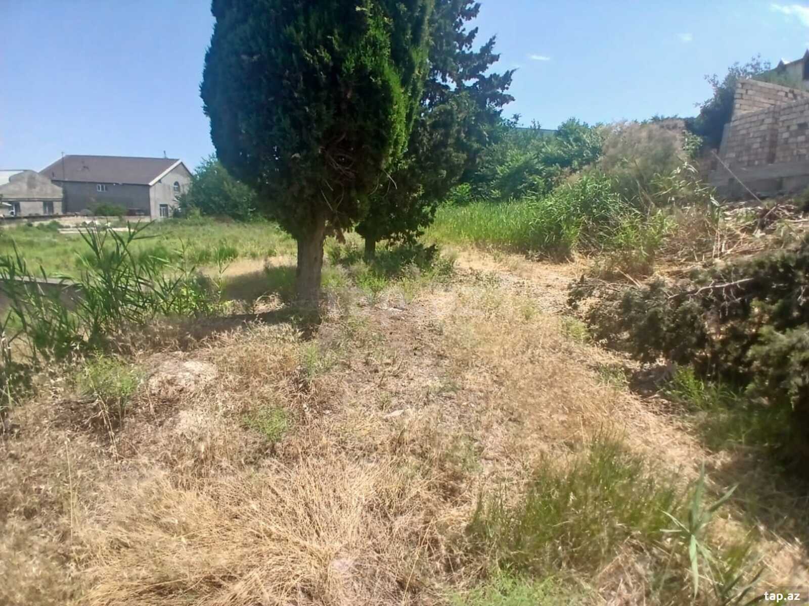 24 sot torpaq sahəsi, Bakıxanov qəs. (5)