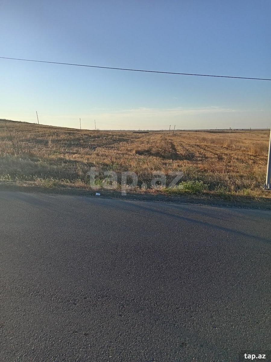 90 sot torpaq sahəsi, Cəlilabad r. (2)