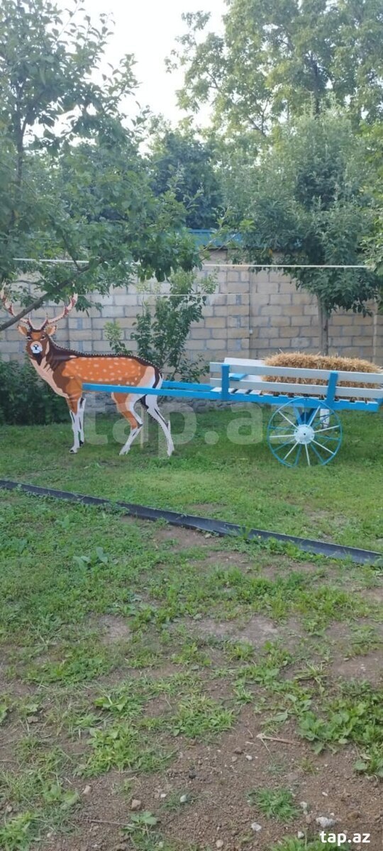 Həyət evi kirayə verilir, Qəbələ r. (2)