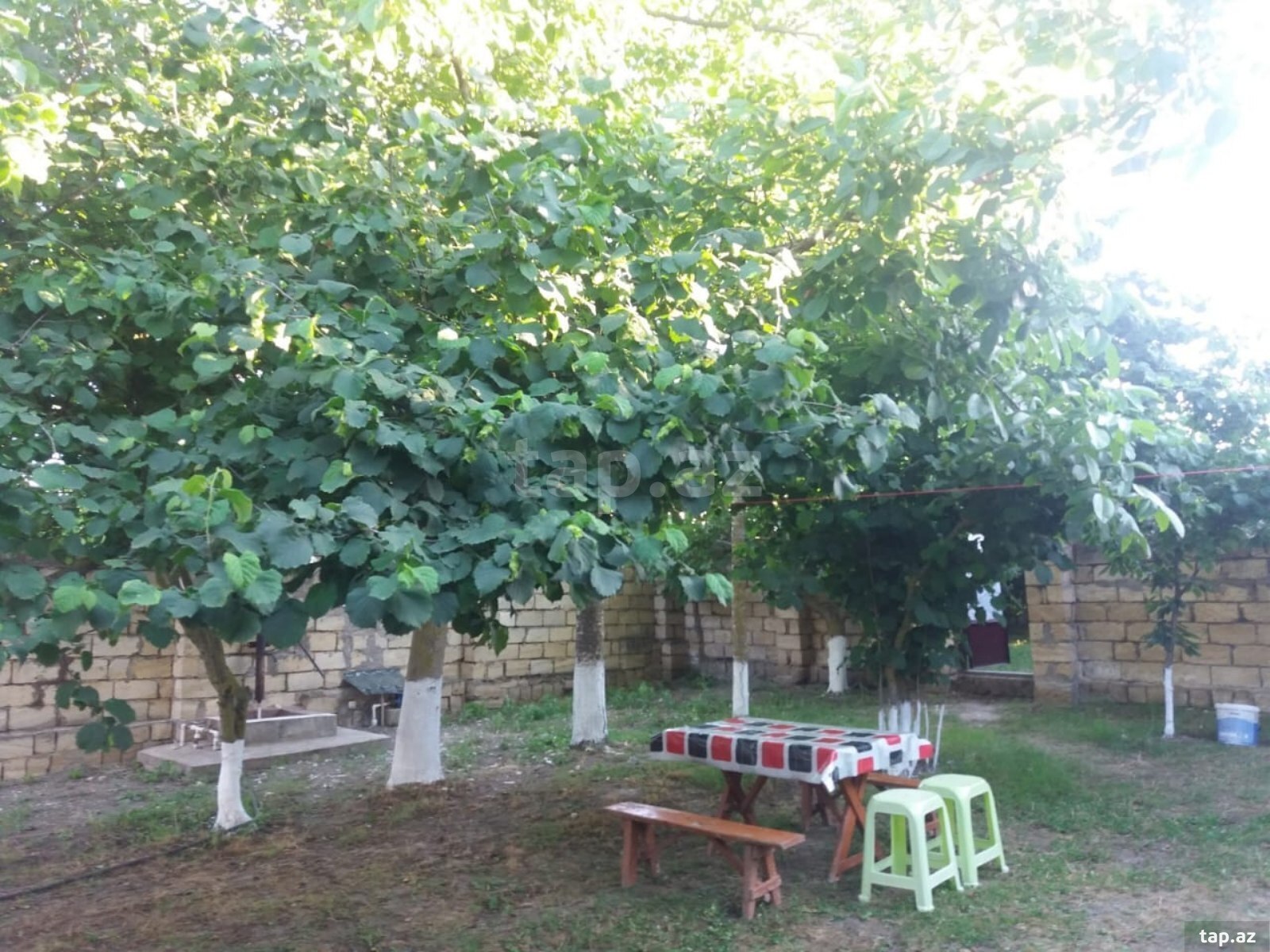Bağ evi kirayə verilir, Nabran qəs.
