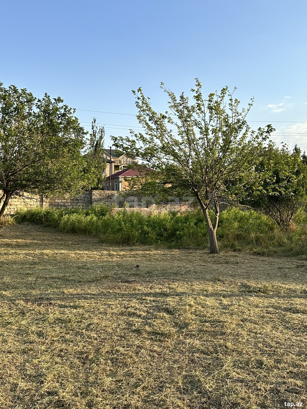 3 sot torpaq sahəsi, Novxanı qəs.