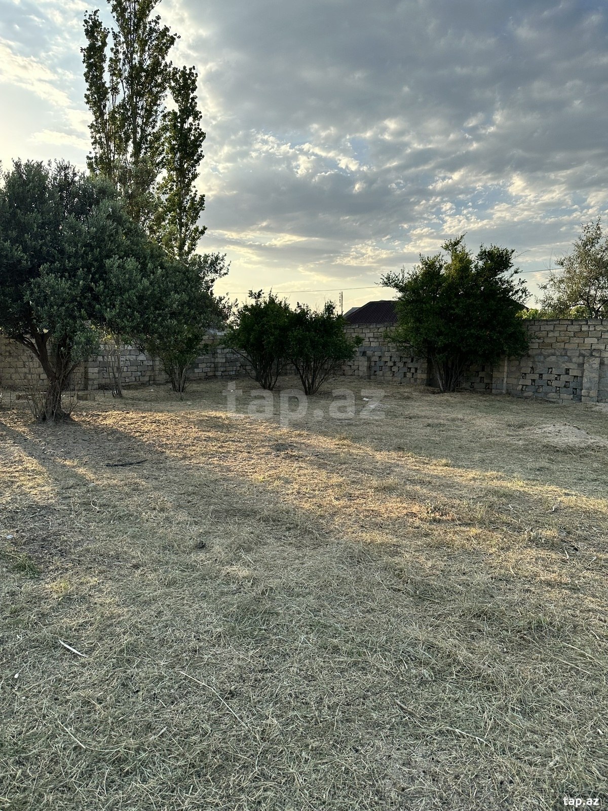 4 sot torpaq sahəsi, Novxanı qəs. (2)