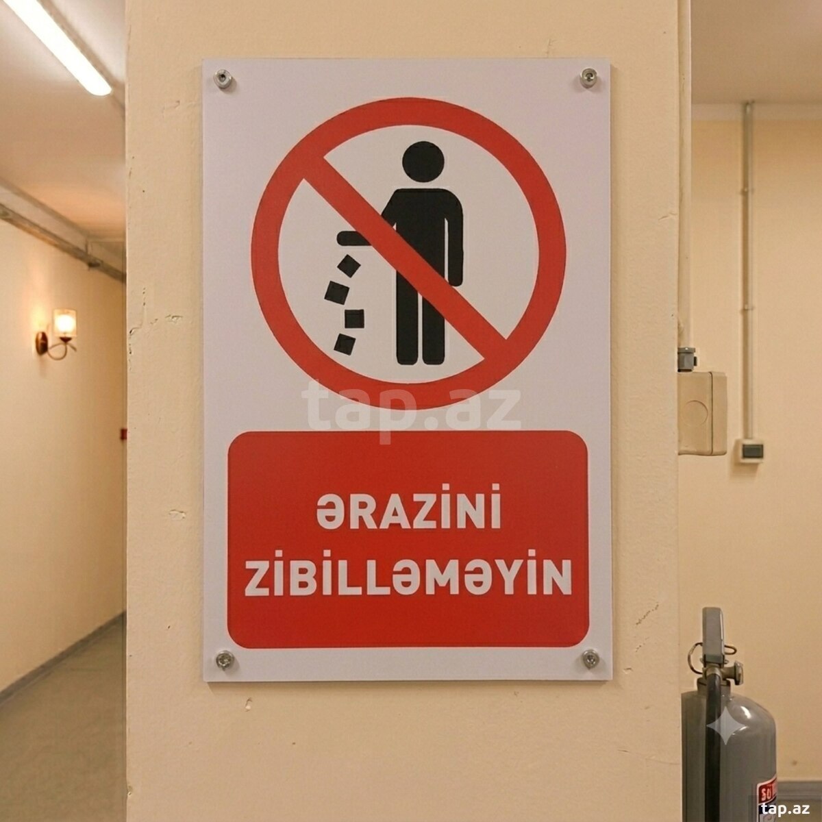 Məlumat lövhələri (5)