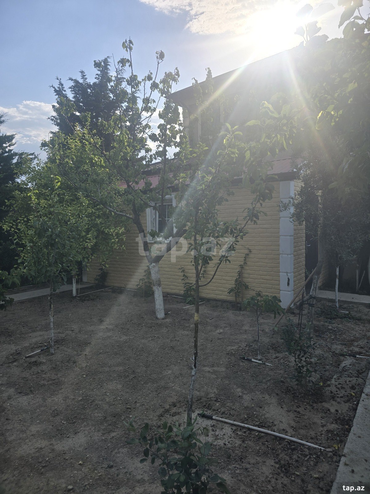 Bağ evi, Yeni Türkan qəs. (5)