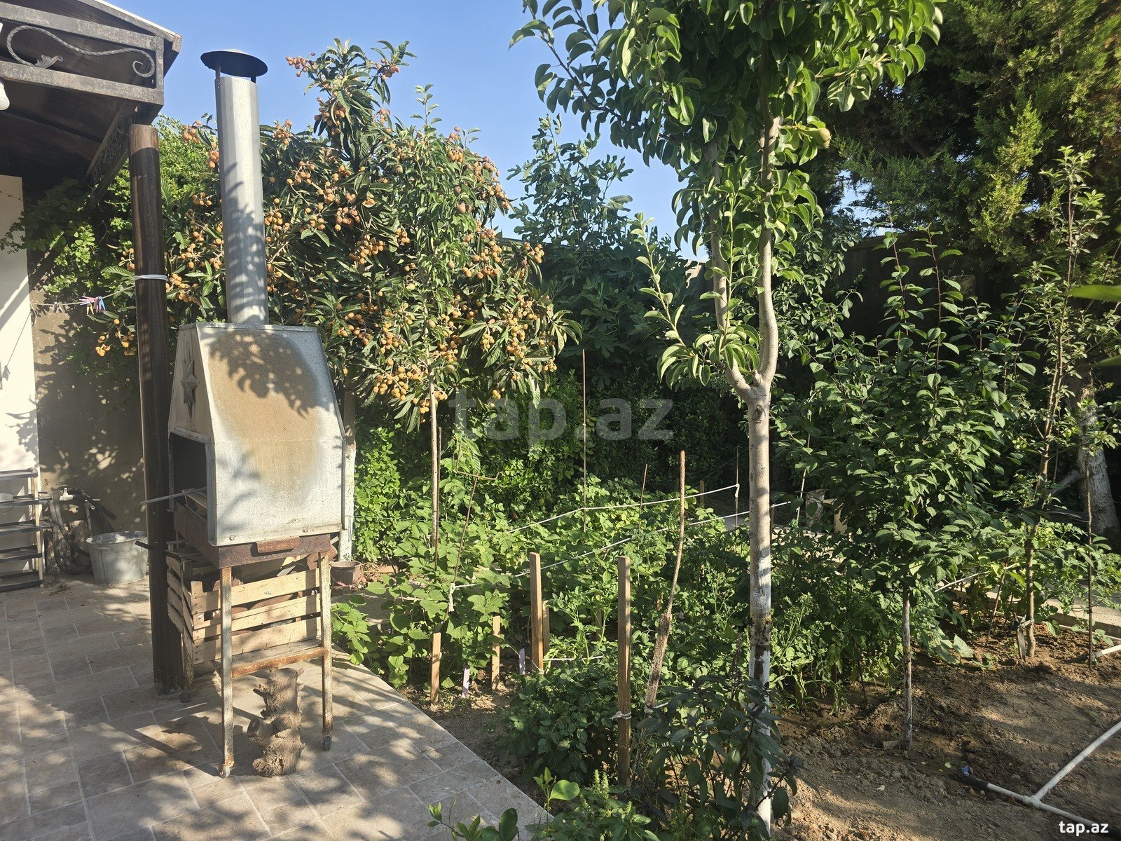 Bağ evi, Yeni Türkan qəs. (9)