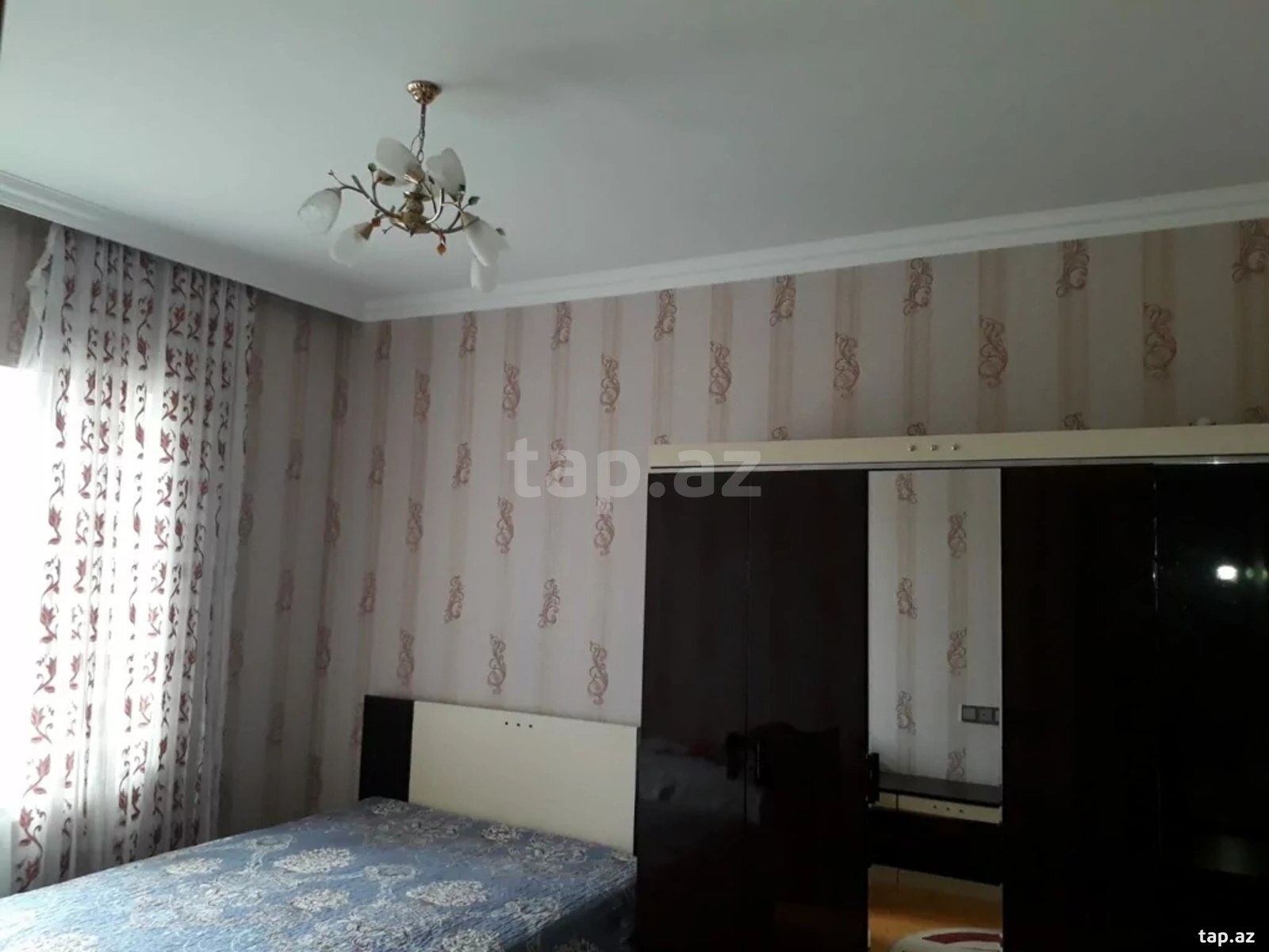 Bağ evi kirayə verilir, Mərdəkan qəs. (8)