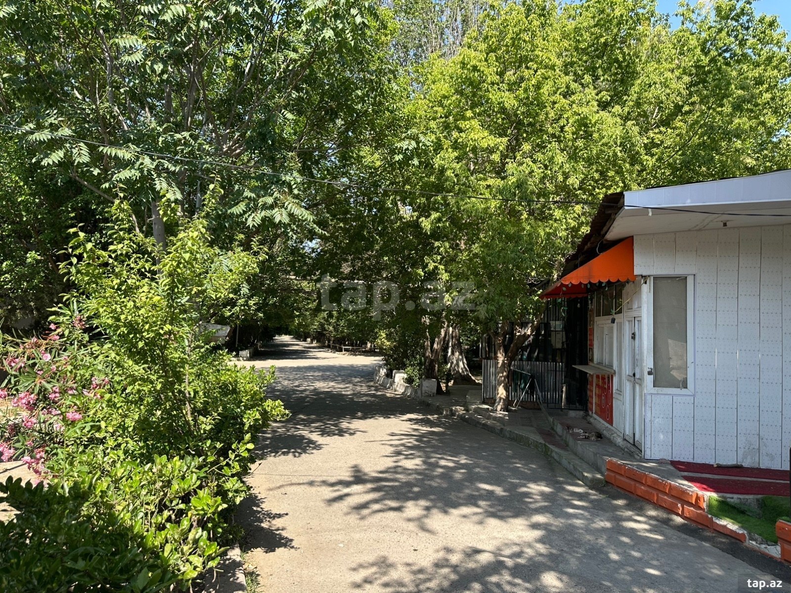 Obyekt icarəyə verilir, Azadlıq m. (5)