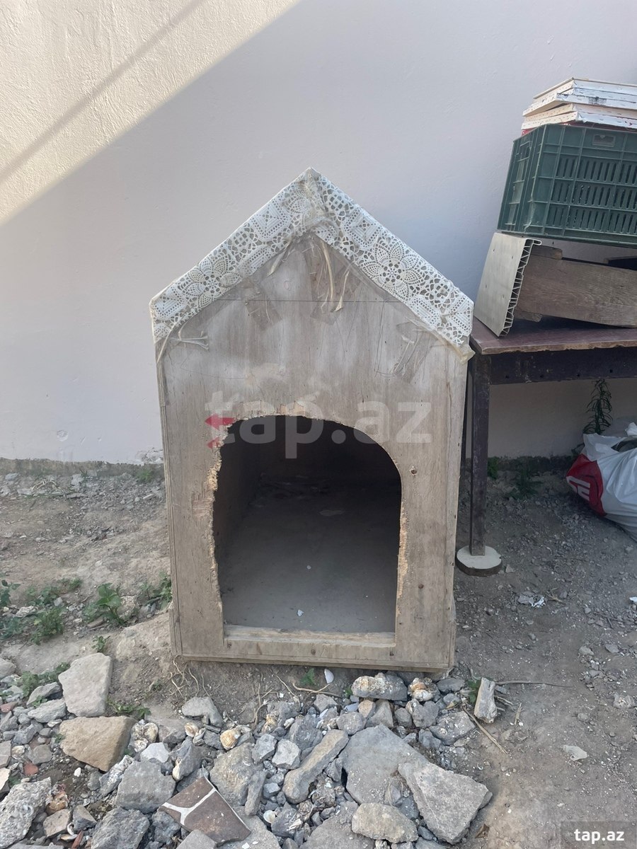 It yuvası