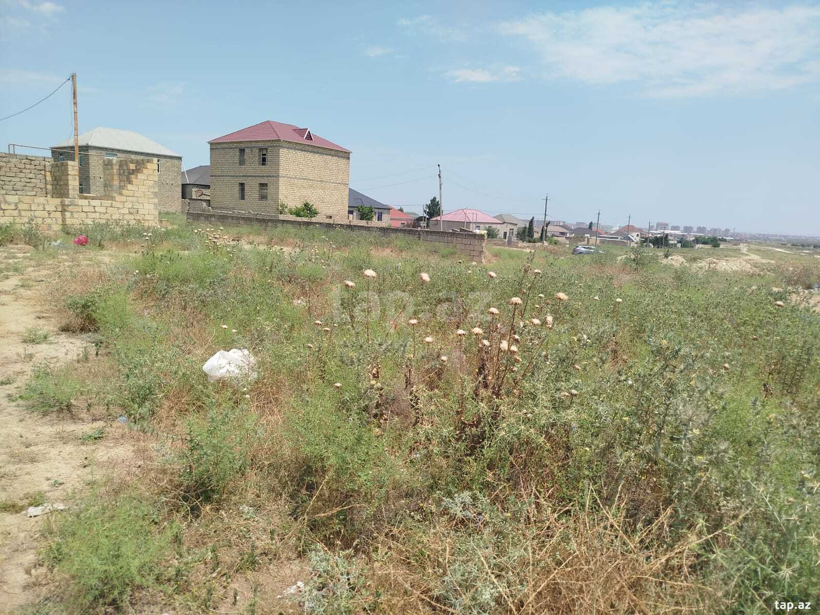 5.5 sot torpaq sahəsi, Abşeron r. (3)